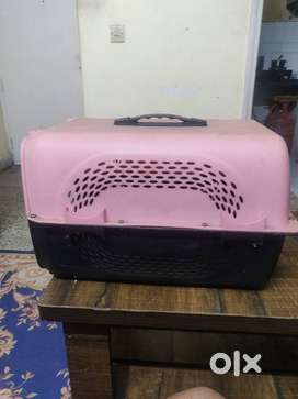 Cat basket