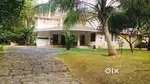 Aluva urgent sale 25cent 3000sqt house 2.50cr