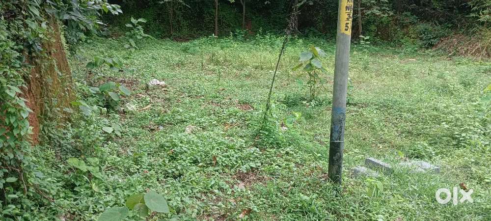 Koodali banganaparamba, 150 MTRS away from bus stop, Thar road side,