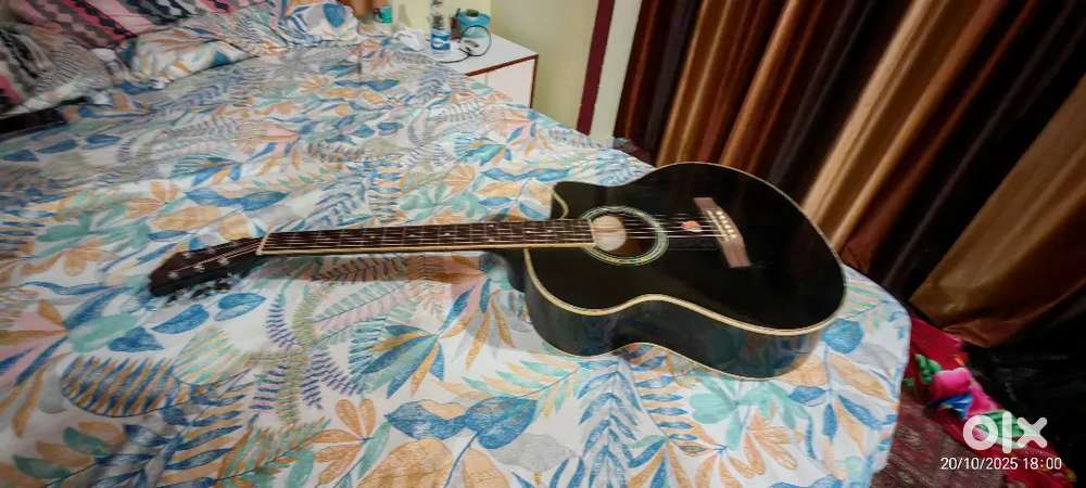 Acoustic Guitar