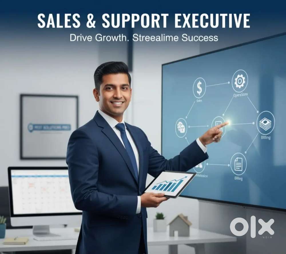 Sales and Support Executive