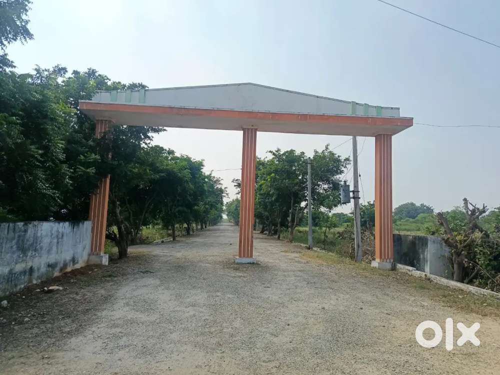 100 గజాలు కేవలం ₹3 లక్షలు DTCP ఆమోదిత లేఅవుట్ – వినుకొండ