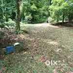 10 Cent Land for sale