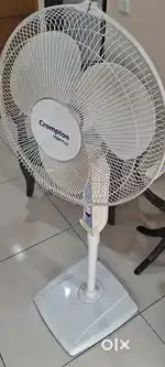 Crompton standing fan