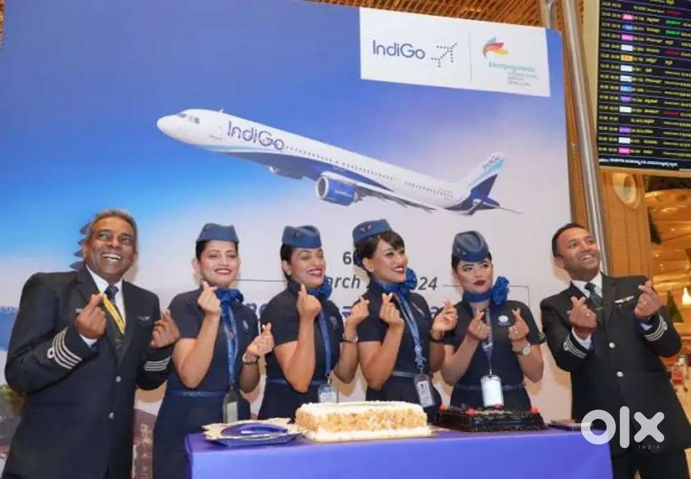 Cabin Crew/Airport Ground Staff Jobs in Indigo airlines apply fast.