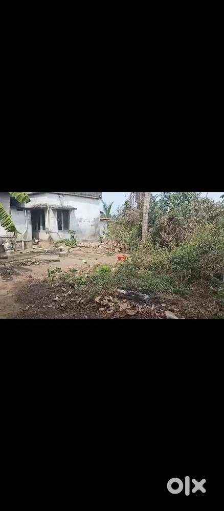 HEY 7 cent plot eroor for low price. Price is negotiable