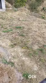Plot 11biswa