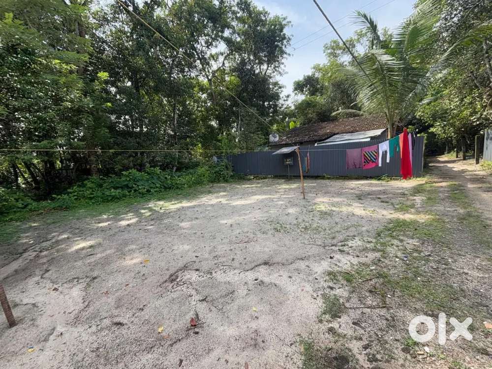 Plot for sale Alappuzha mannacherry