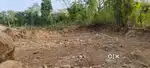 Land for sale in village nagri near Palampur