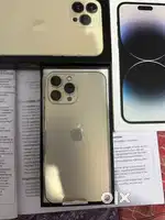 13 pro max