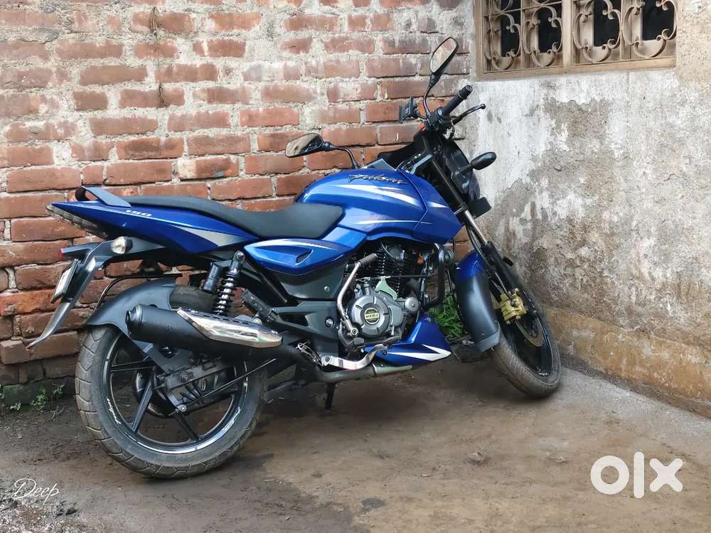 Palser 150