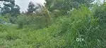6.5 cent residential plots for sale at Mamala, Muriyamangalam.