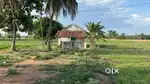 AGRICULTURE LAND FOR SALE IN TIRUKKANOORPATTI