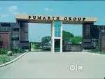 Premium plots