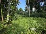 Plot for sale in poothakulam