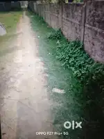 Land sale (Bhular Dukan) Nowaraj