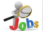 Naturalist and Wildlife Guide job available in Wayanad Resort