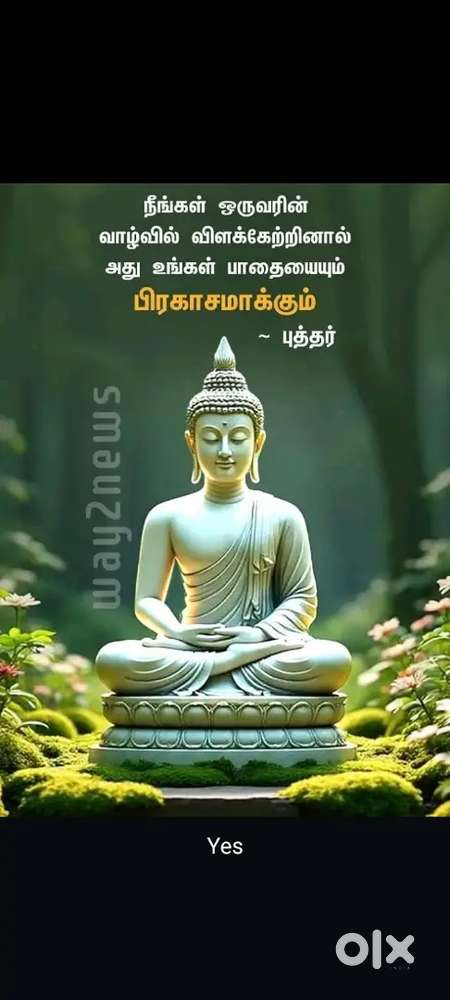 Central kitchen Asst, vegetable cutting, chappathi