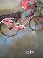 Ladybird cycle