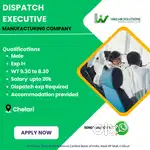 Dispatch Executive for manufacturing company