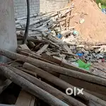Bamboo for sell