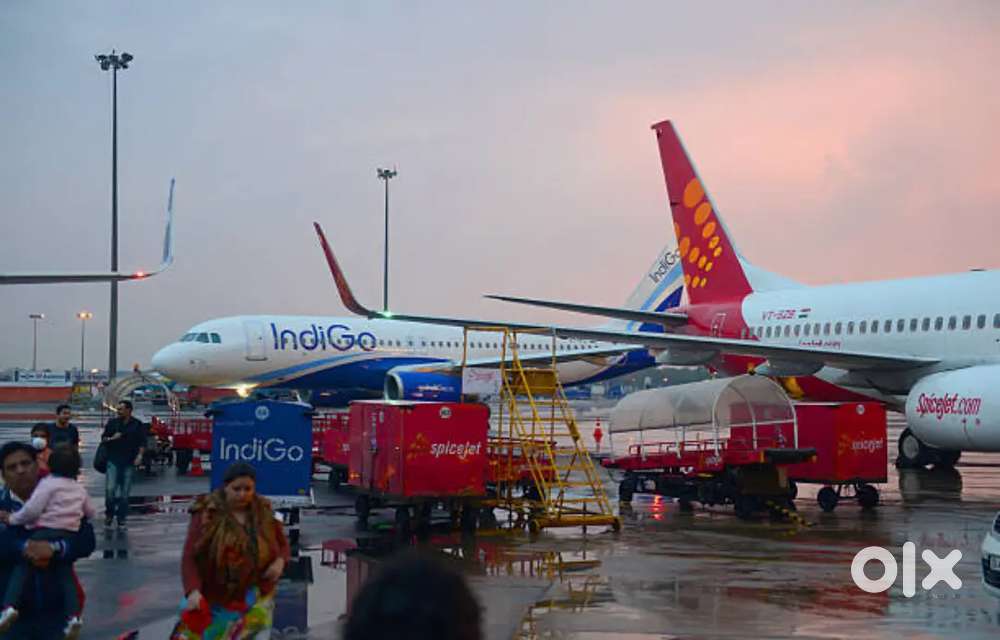 Cabin Crew Airticketing Airport Ground Staff Jobs in Indigo Airlines