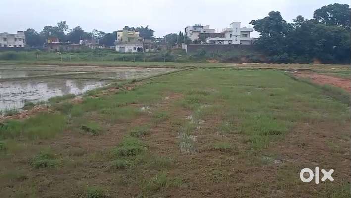 82 डिसमिल का शानदार प्लाट रांची के लालगुटुआ में उपलब्ध है