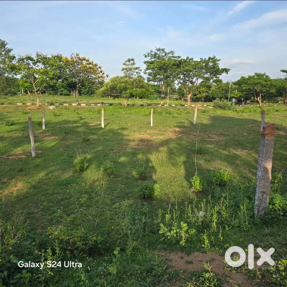 Plot for sale 200 sqds in gungal village, ibrahimpatnam, Telangana