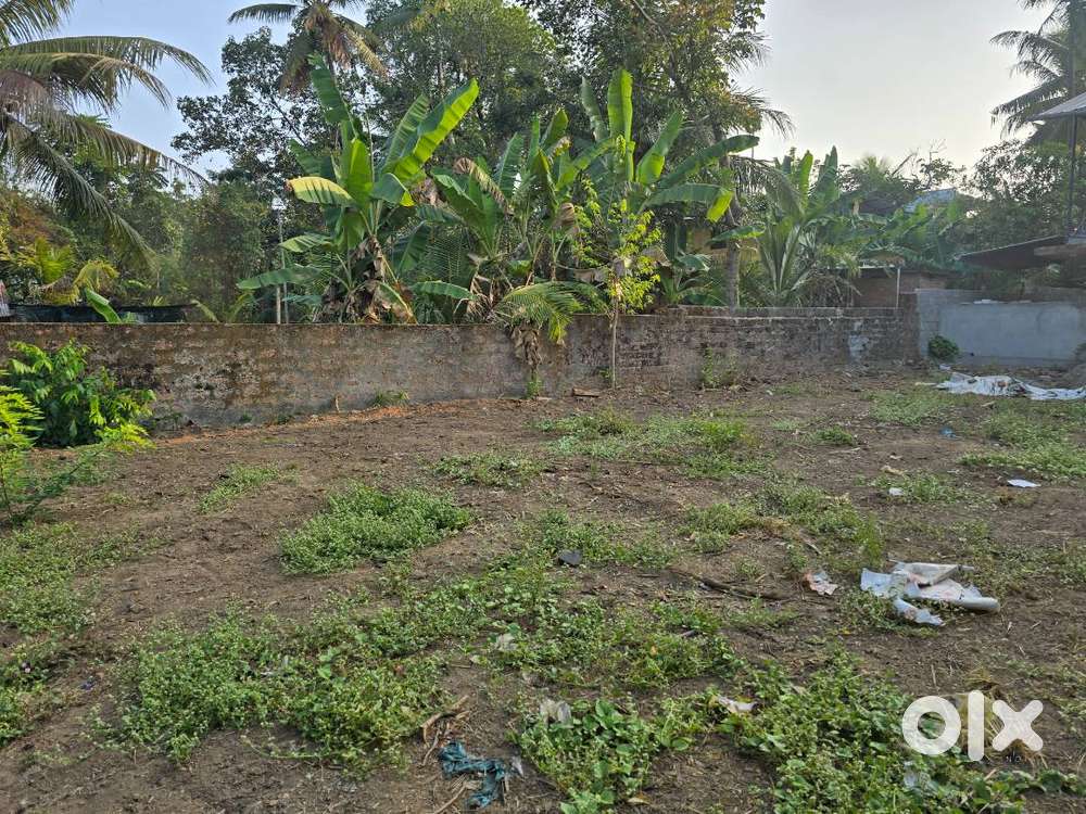 8 Cent Residential Land for Sale – Near Kongorpilly, Karingamthuruth