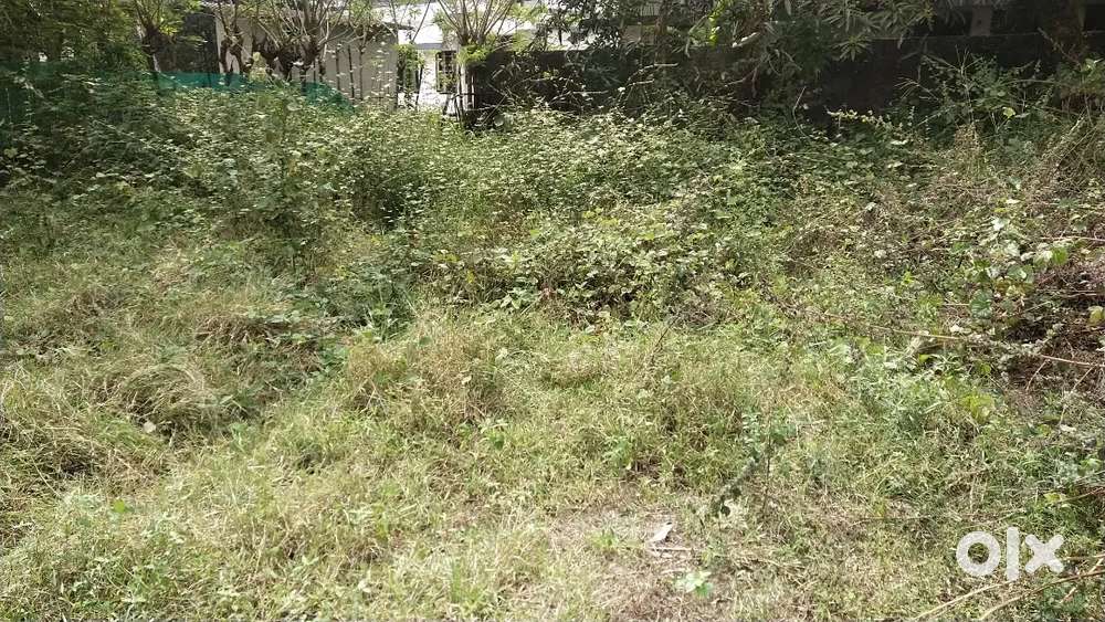 8.5  Cents land in Alappuzha.