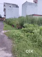 50 gaj plot in Avas vikas colony