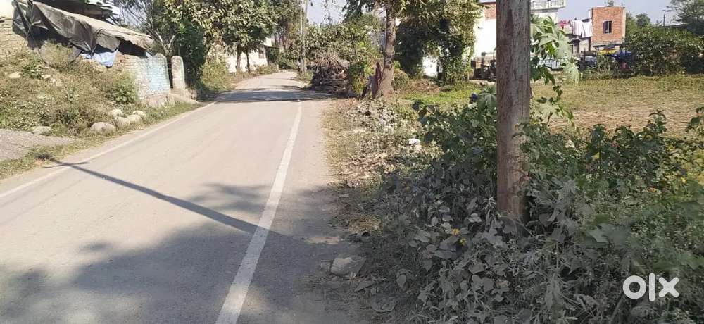 3 Bigha plots in himachal pradesh 35 lakh per bigha