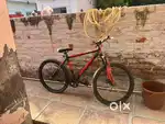 Schnell ranger cycle for sall
