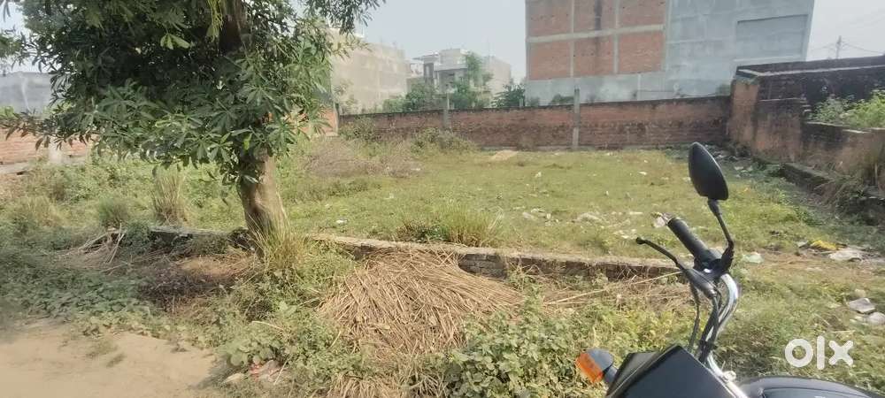 I want to sale plot in badhwa tahirpur jhunsi