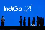 Job in indigo airlines fast apply now