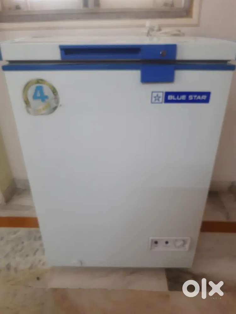 Bluestar deep freezer .