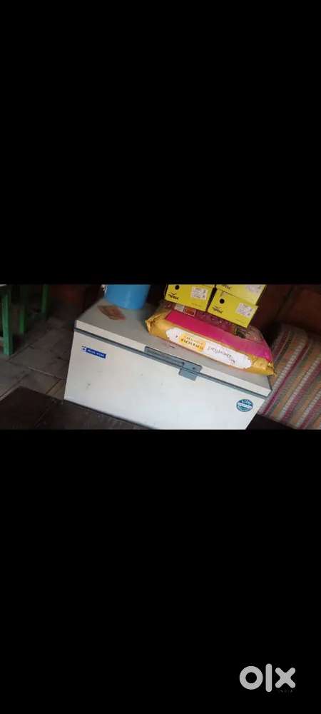 Blue Star deep freezer and fridge