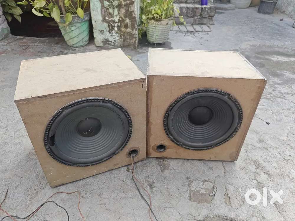 10 Inch speaker with box