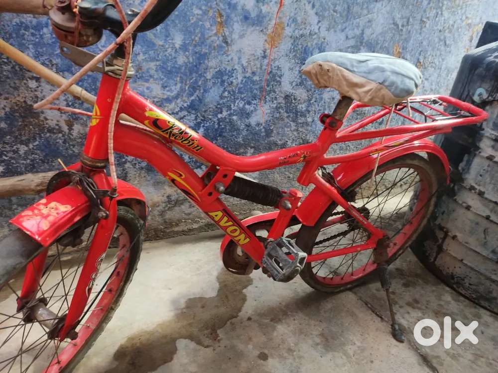 Big and small bicycle