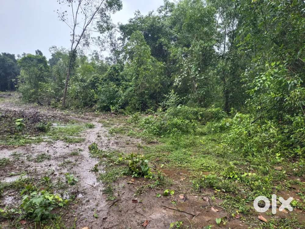 78 cents land for sale Manipal to hiriyadka road