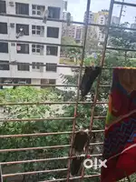 Room for pg