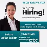 Job Consultant / Female Telecaller