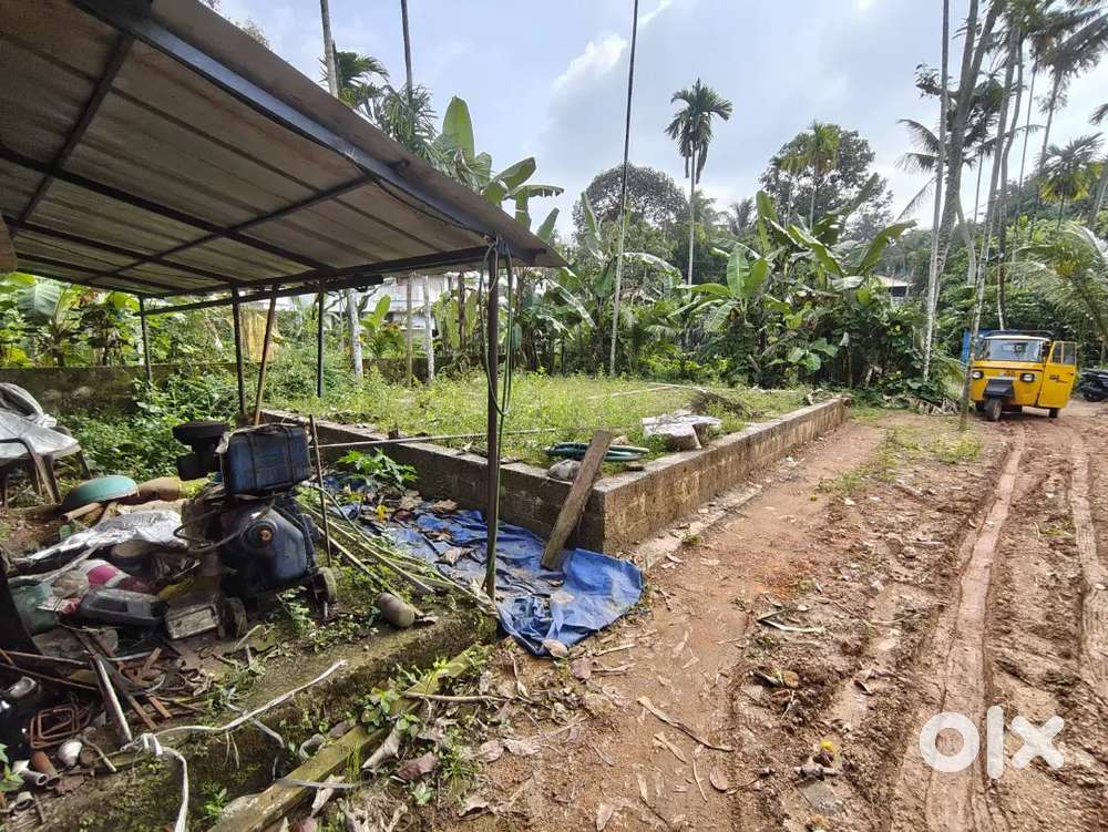 COW FARM AND PLOT FOR SALE