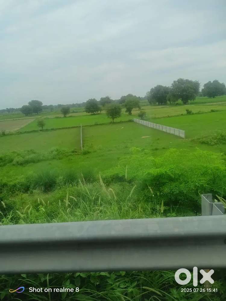 आठवीं का खेत है ओं हाईवे जिसकी रेट है सवा करोड रूपए बिघा