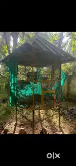 Love birds nest and feeding pot