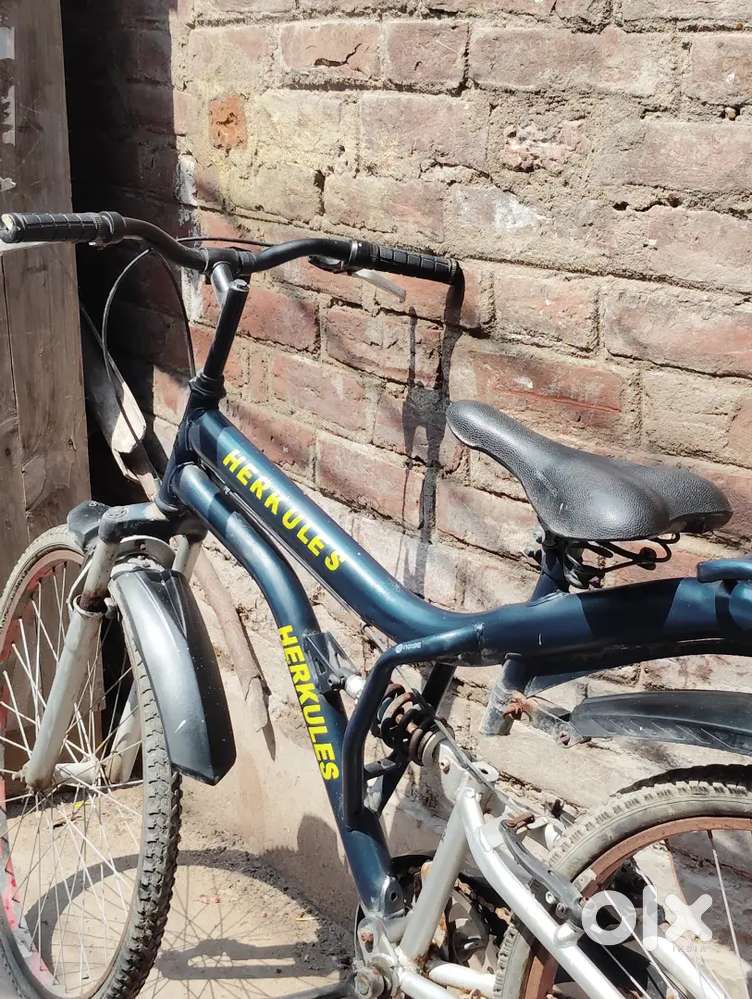 Hercules bicycle matt blue  (Special fz bike paint)