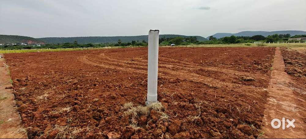 Private land sale in Kapuluppada