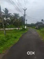 80 cent Land for sale in Elavally