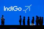 Airport Ground staff jobs in Indigo Airlines urgent hiring Apply Fast
