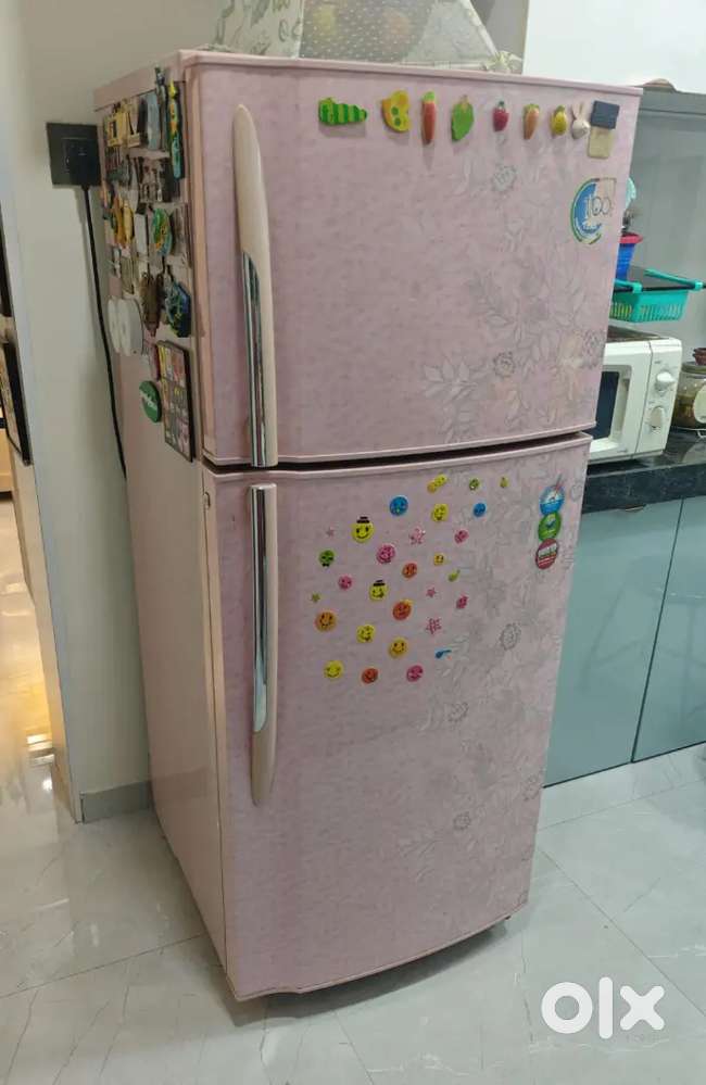 Godrej Eon Fridge